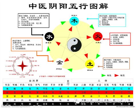 五行相生|五行相生相剋:五行,四季五行,相生相剋,概念對應,五行。